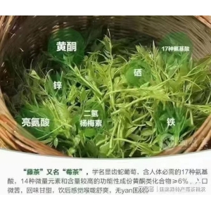 华体会hth综合芽尖莓茶几钱一斤张家界土家高山莓茶价钱几看完就晓得了